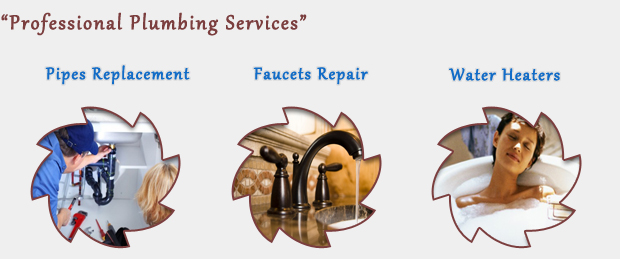 profissional services